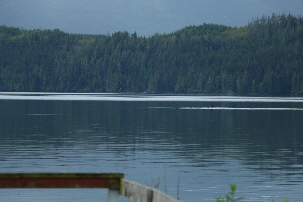 Nimpkish Hotel Alert Bay Buitenkant foto